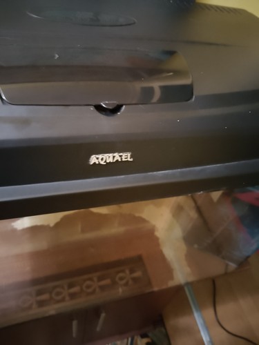 Aquael aquarium fish tank - fish,