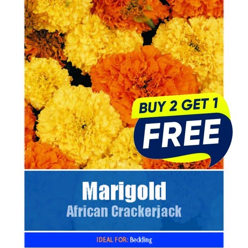 Flower seeds marigold - seeds, african