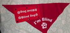 Blind Dog Bandana & Collar or