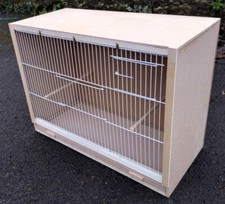 Single budgie breeding - budgie, cage