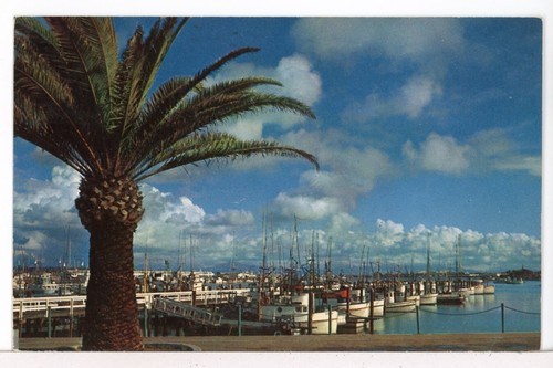 1957 fishing pier and lots - fishing,