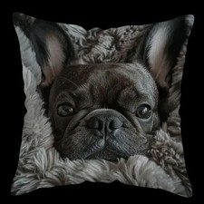 1 X Lovely French Bulldog