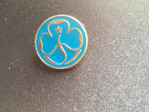 Girl guides metal promise pin - guides,