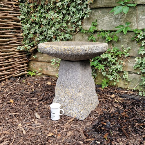 Aged staddle stone - staddle, bird