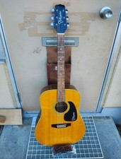 Takamine 200 Series NA