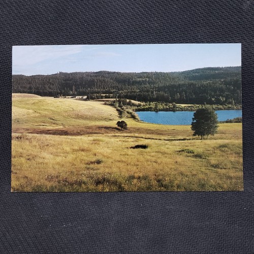 British columbia pasture - british,