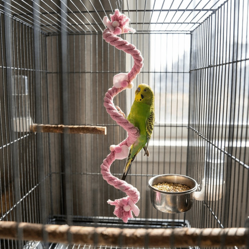 Bite resistant bird - resistant, climbing