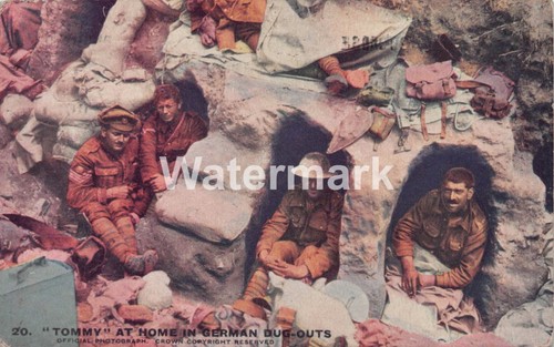 0295 wwi daily - daily, series