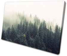 Misty Forest Nature Landscapes SINGLE CANVAS WALL ART Picture Print