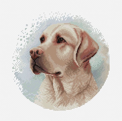 Cross stitch kit with hoop - cross,