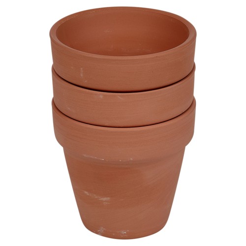 Terracotta plant pots - terracotta,