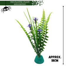 Display Plants for frogs