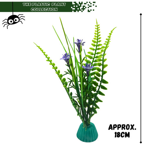 Display plants for - for, frogs