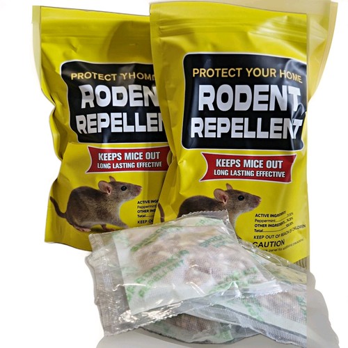 Mouse rat and mice - rat,