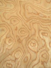 Oak Burl Wood Veneer SaRaiFo