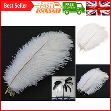 10pcs Natural Ostrich Feathers