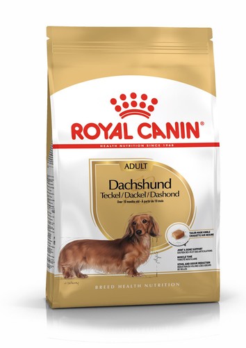 Royal canin dachshund adult - canin,