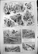 Old Dairy Show Islington Alfred Bryan War Fish Fowl Pike Heron Eel 18 Victorian