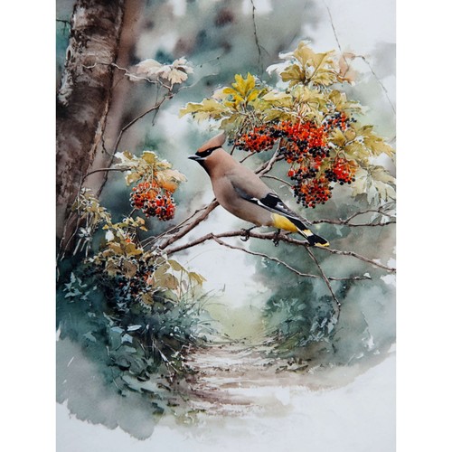 Bohemian waxwing birds nature - bohemian,
