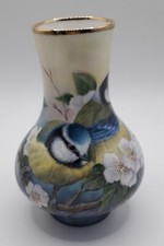 Bluetits and Apple blossom