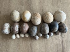 Marble Eggs X 21 Eggs 4 Various Styles And Shapes 6kg Weight