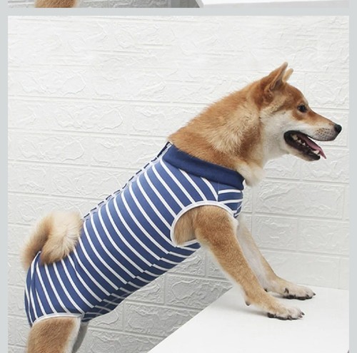 Dog surgery recovery suit - suit,