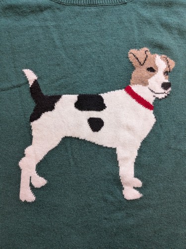 Jack russell terrier - jack, dog