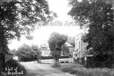 fyy-88 Blue Lion, A Bit of