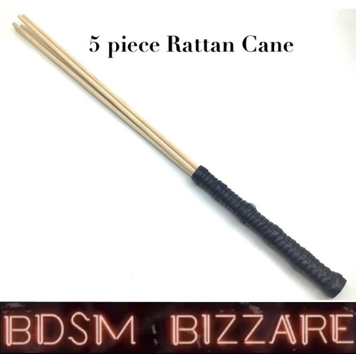 Teachers rattan cane whip - teachers,