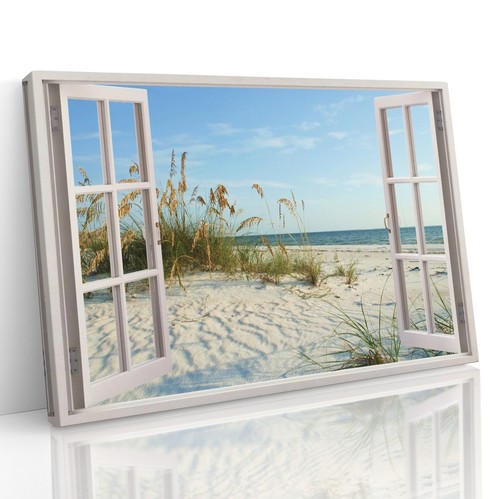 Sand dunes reeds - reeds, window