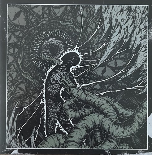 Ill omen remnant spheres - ill, of