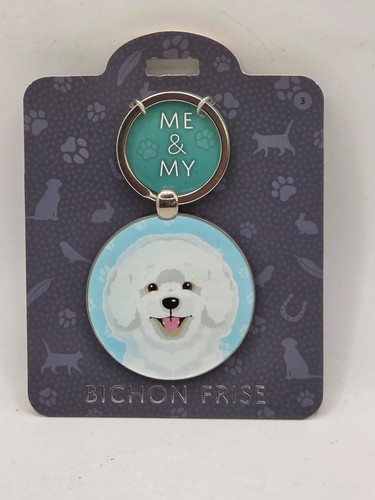 Bichon frise and pet - bichon,