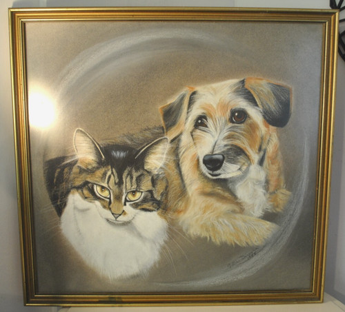 Gillian donegan cat dog - gillian, 'cat