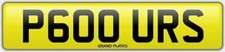 Pours number plate P600 URS