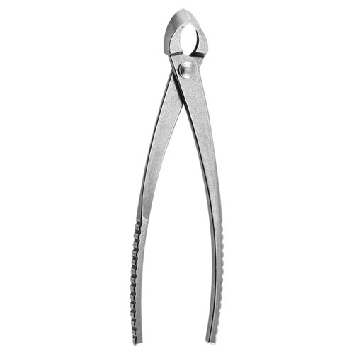 Stainless steel bonsai branch - steel,