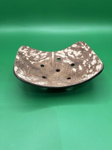 Coconut shell soap dish - shell,