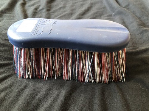 Dandy brush horse grooming - dandy,