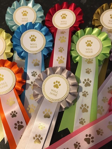 Tier dog show rosettes - tier,