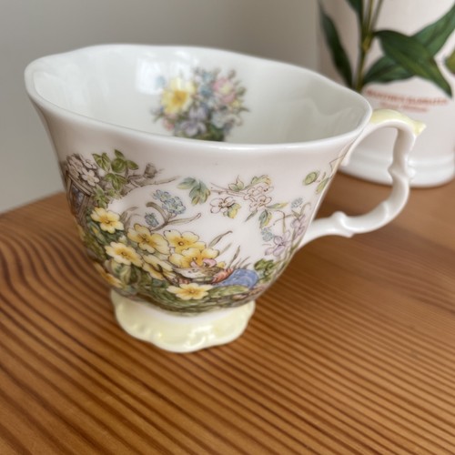 Brambley hedge spring - spring, beaker