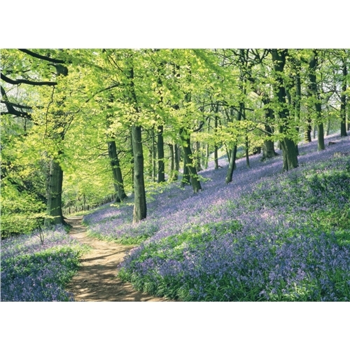 Beautiful blanks card - beautiful,