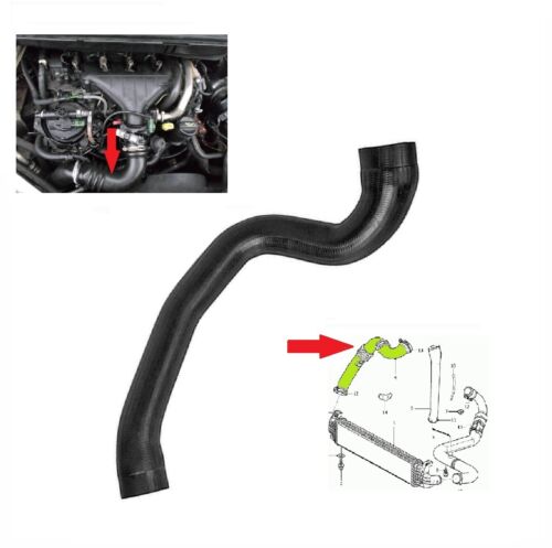 Intercooler hose pipe - intercooler, turbo