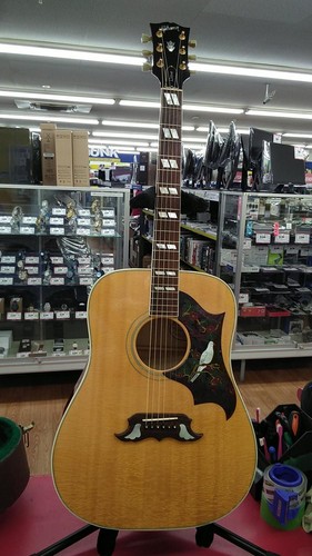 Gibson dove 1993 vintage - 1993,