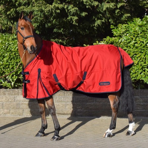 John whitaker lupin - lupin, turnout