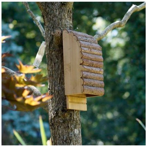 Medium bat box greenkey - box,