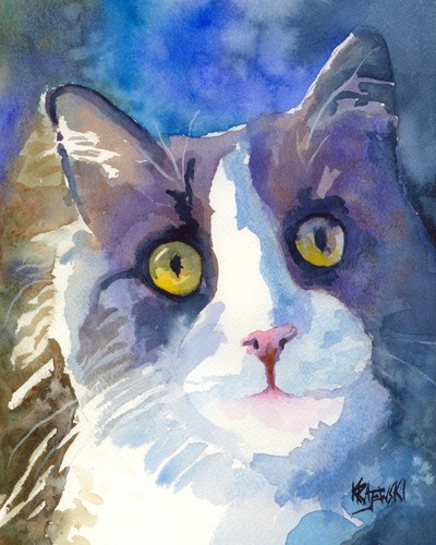 Tuxedo cat high - cat, resolution