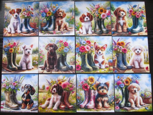 Assorted puppies by the - 12, x