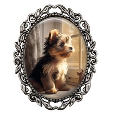 Yorkie Yorkshire Terrier Puppy