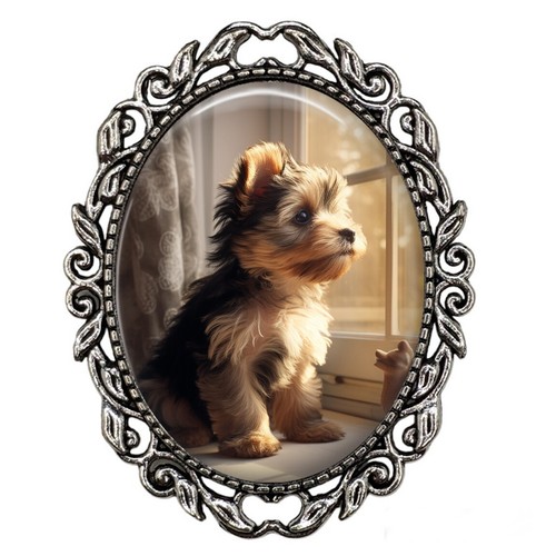 Yorkie yorkshire terrier puppy - terrier,