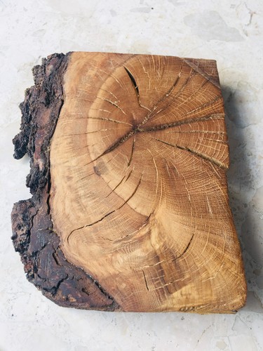 English oak spalted - spalted, live
