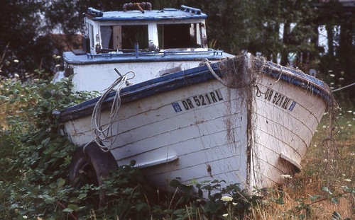 Color slides pro - 35, photo